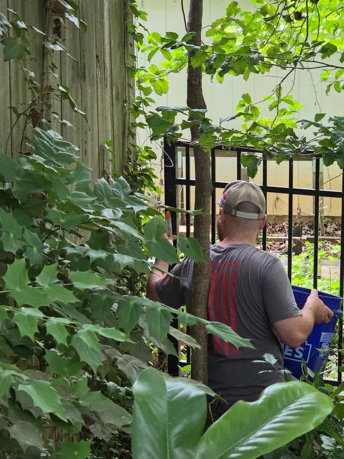 Setting a black aluminum fence line by hand, mid-installation