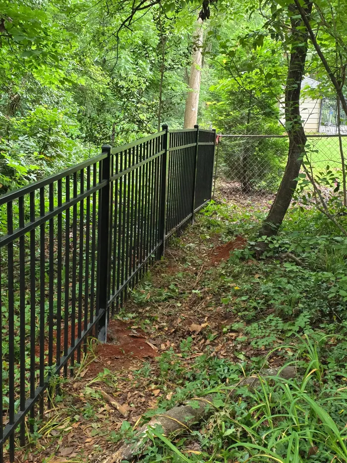 Aluminum fence line through a wooded property line