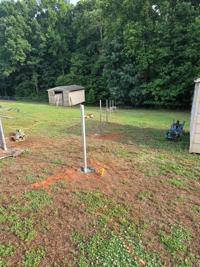 Chain-link posts freshly set in concrete, ready for fabric