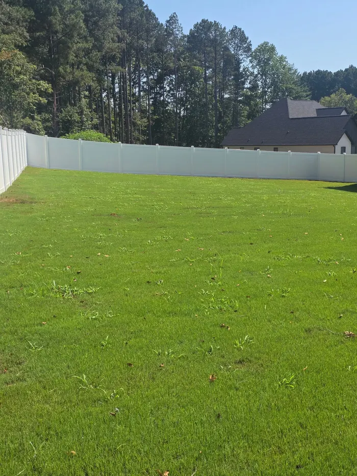 Vinyl privacy fence along a pine tree line